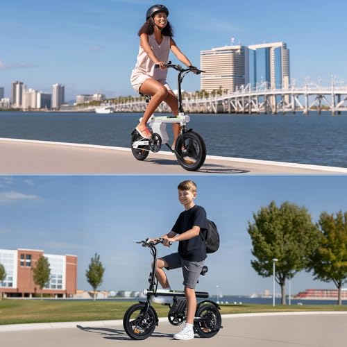 isinwheel U1 Folding Electric Bike, 500W Motor, 20 mph, Black O499