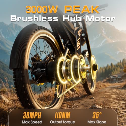 Electric Dirt Bike for Adults with 3000W Brushless Motor and 48V 30AH Battery M1892