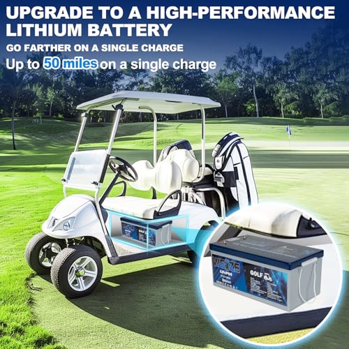 Weize 12V 100Ah LiFePO4 Lithium Battery with Smart BMS D8810