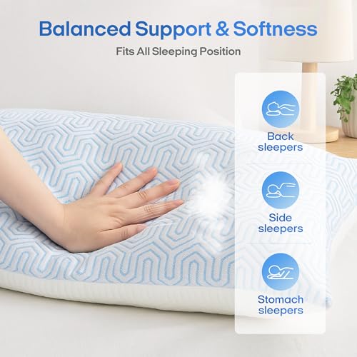 puredown® Goose Feathers and Down White Pillows King Size Set of 2 G471477