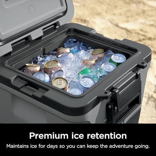 Ninja FrostVault 45QT Cooler with Wheels, Lakeshore Blue M1144