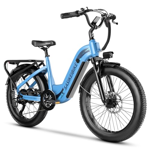 1500W Electric Bike for Adults, 48V 20AH Removable Battery Step-Thru, 24" Fat Tire Y988340