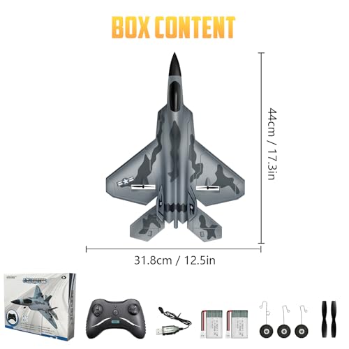 HAWK'S WORK 2 CH RC Airplane F-22 Ready to Fly 2.4GHz A3792