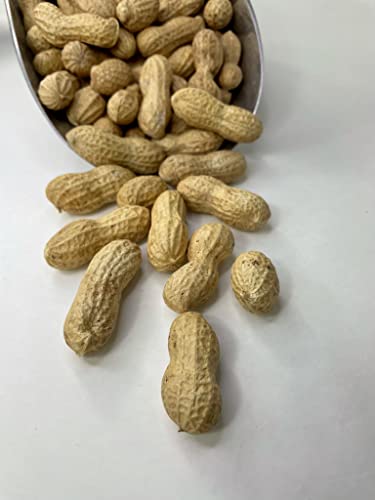 Raw Peanuts in Shell for Animal Feed, 10LB F20573