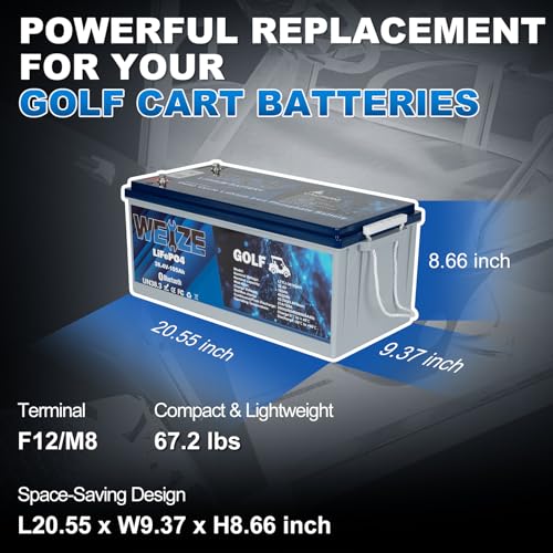 Weize 12V 100Ah LiFePO4 Lithium Battery with Smart BMS D8810